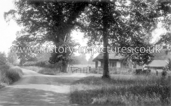Entrance to Skreens Park, Willingale, Essex. c.1930's